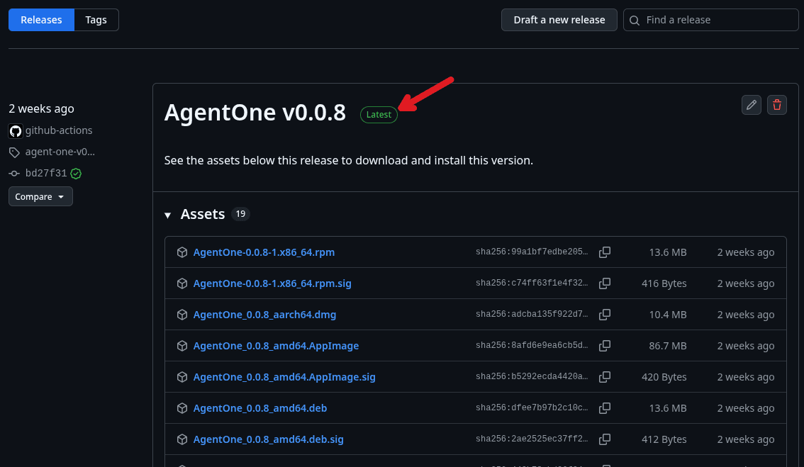 GitHub Releases page showing the latest release with a green "Latest" badge